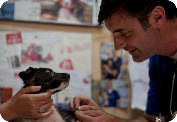 Horarios veterinaria en quilmes